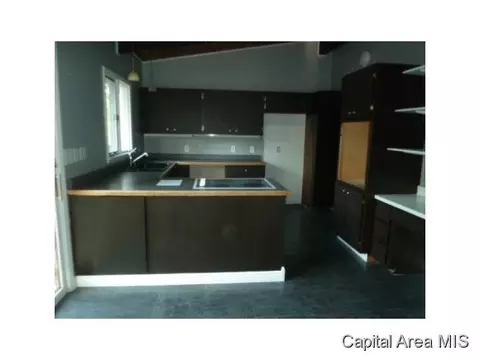 3119 E Fitzgerald, Decatur, IL 62521 photo 14