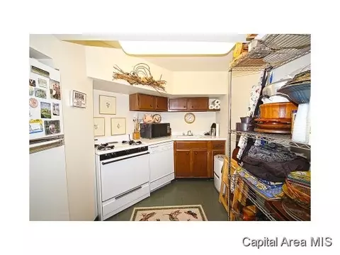 1620 Illini Rd, Springfield, IL 62704 photo 24