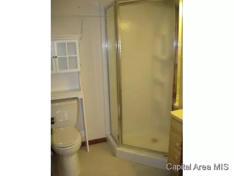 4 Bridge Ter, Springfield, IL 62704 photo 22