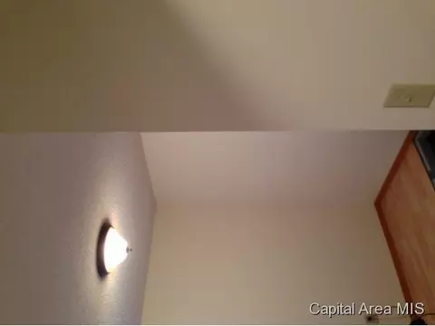 1119 N Patton, Springfield, IL 62702 photo 10