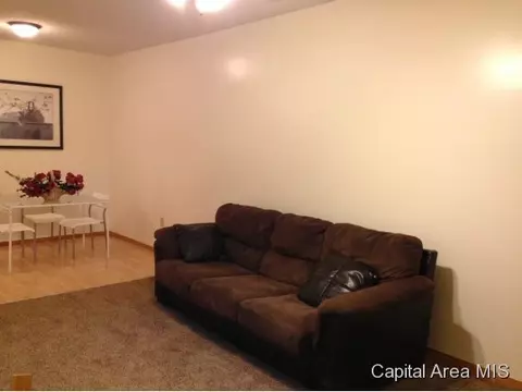 1119 N Patton, Springfield, IL 62702 photo 15