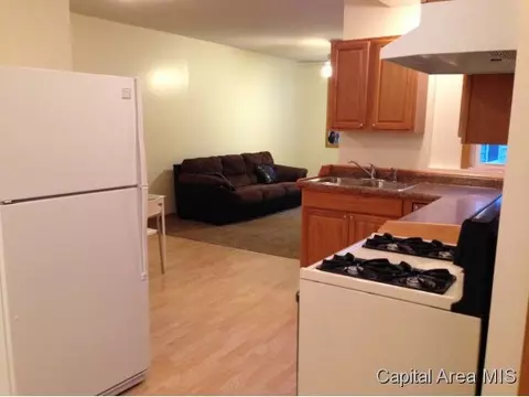 1119 N Patton, Springfield, IL 62702 photo 8