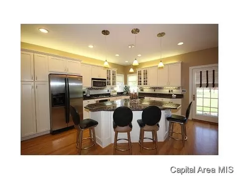 5208 Wildcat Run, Springfield, IL 62711 photo 17