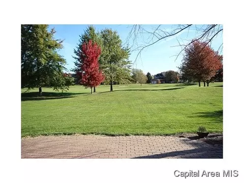 5208 Wildcat Run, Springfield, IL 62711 photo 3