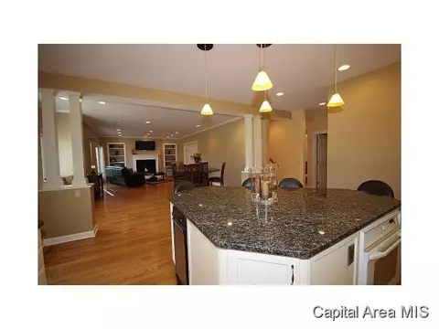 5208 Wildcat Run, Springfield, IL 62711 photo 18