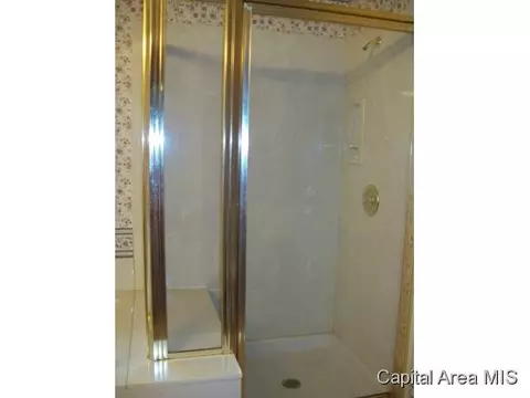 4318 S 3rd St, Springfield, IL 62703 photo 15