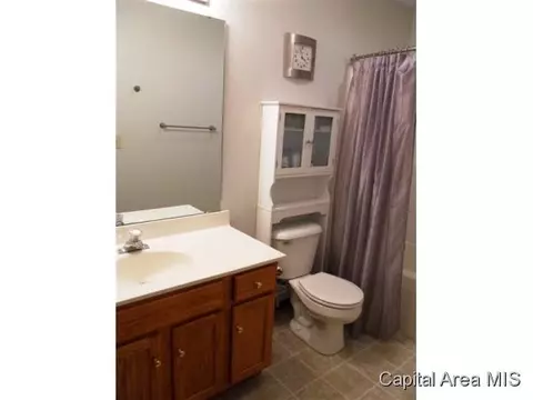 1905 Plover, Springfield, IL 62711 photo 10