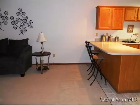 1905 Plover, Springfield, IL 62711 photo 4
