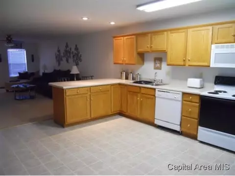 1905 Plover, Springfield, IL 62711 photo 6