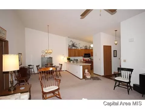2011 Clara Mae, Springfield, IL 62711 photo 8