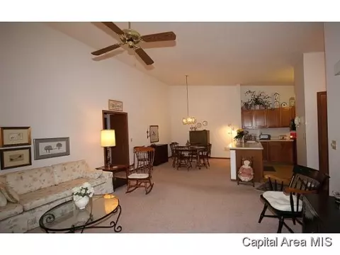 2011 Clara Mae, Springfield, IL 62711 photo 6