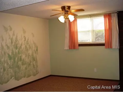 1924 Camden Rd, Springfield, IL 62702 photo 13