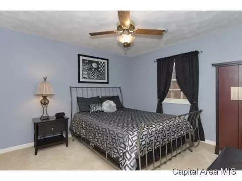 1520 Weston Pointe Dr, Springfield, IL 62704 photo 20