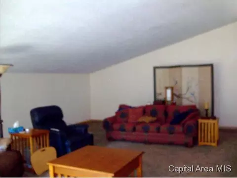 39 Frontier Lake Dr, Springfield, IL 62707 photo 10