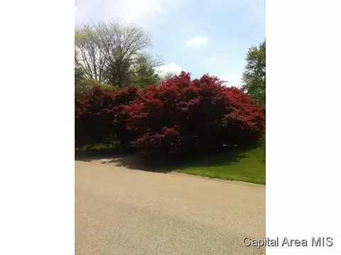 39 Frontier Lake Dr, Springfield, IL 62707 photo 15