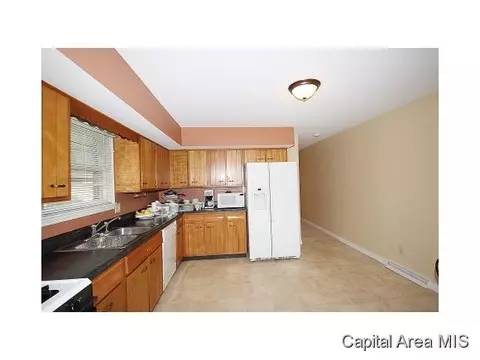3154 Elmhurst Dr, Springfield, IL 62704 photo 5