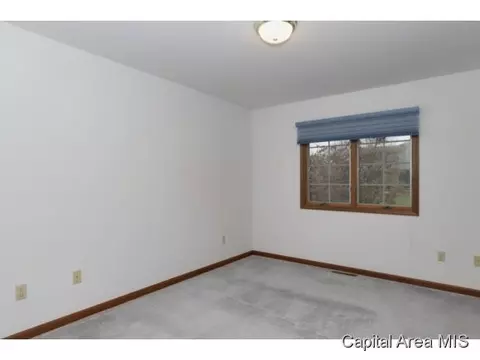 3507 Damyan Ct, Springfield, IL 62704 photo 10