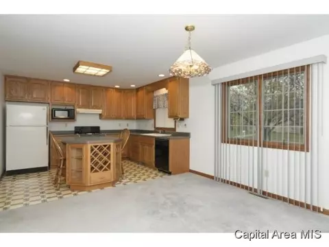 3507 Damyan Ct, Springfield, IL 62704 photo 6