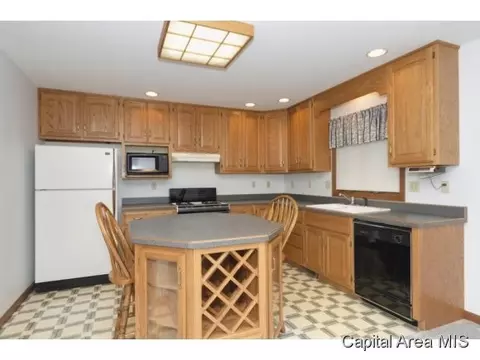 3507 Damyan Ct, Springfield, IL 62704 photo 5