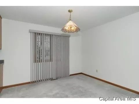 3507 Damyan Ct, Springfield, IL 62704 photo 8