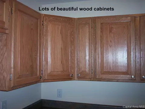 930 S 14th St, Springfield, IL 62703 photo 8
