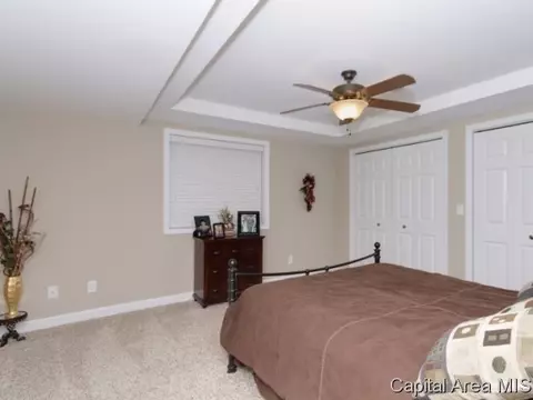3205 Mackinaw Ln, Springfield, IL 62711 photo 20
