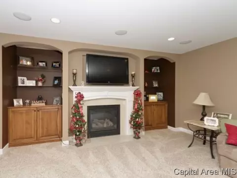 3205 Mackinaw Ln, Springfield, IL 62711 photo 17
