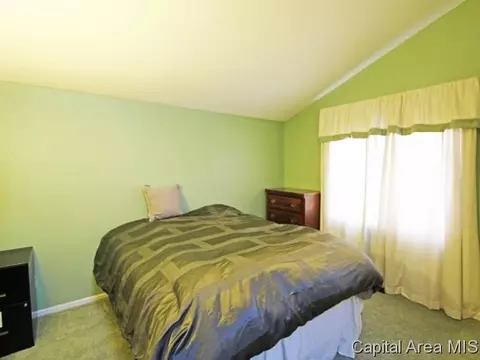 207 Astoria, Springfield, IL 62704 photo 17