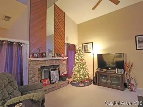 207 Astoria, Springfield, IL 62704 photo 3