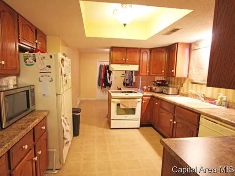 207 Astoria, Springfield, IL 62704 photo 7