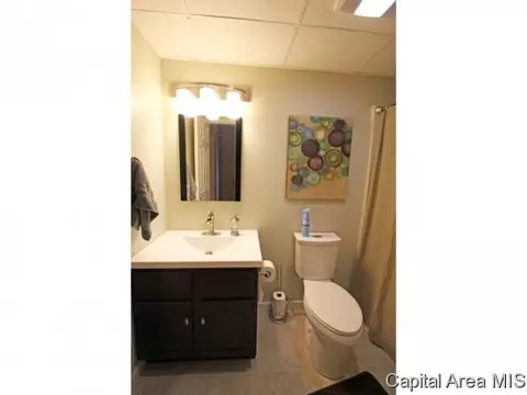 207 Astoria, Springfield, IL 62704 photo 10