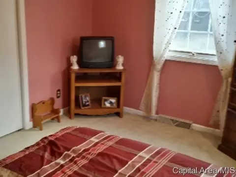 505 Vanderbilt, Sherman, IL 62684 photo 15