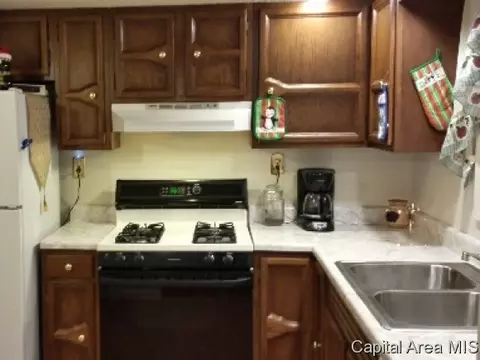 505 Vanderbilt, Sherman, IL 62684 photo 5