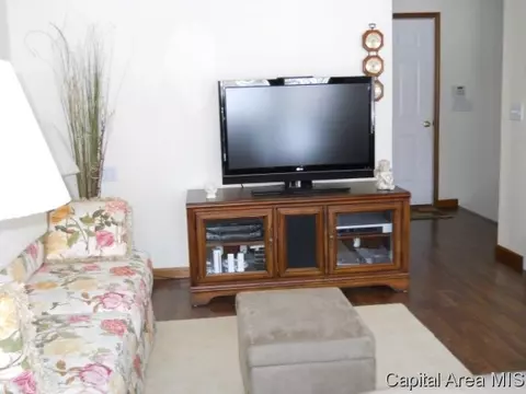 1413 James, Springfield, IL 62703 photo 5