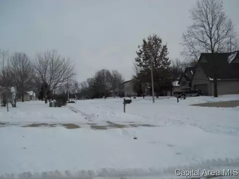 1413 James, Springfield, IL 62703 photo 22