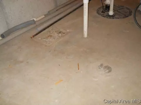 1413 James, Springfield, IL 62703 photo 20