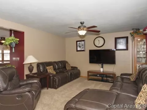 224 Cranmer Dr, Springfield, IL 62704 photo 7