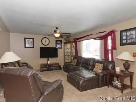 224 Cranmer Dr, Springfield, IL 62704 photo 3