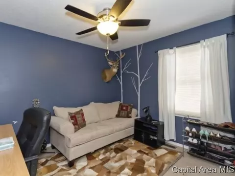 5209 Carlton Dr, Springfield, IL 62703 photo 11