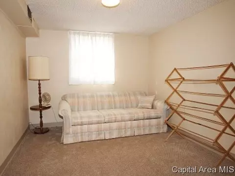 22 Sunnyside Dr, Springfield, IL 62702 photo 15