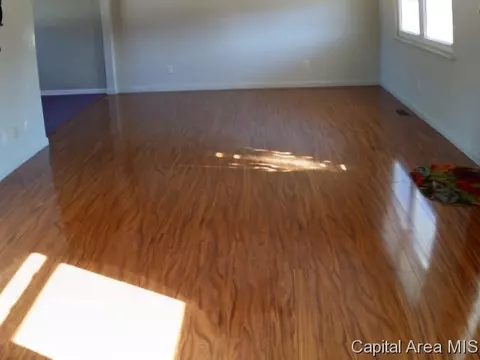 2501 E Griffiths, Springfield, IL 62702 photo 3
