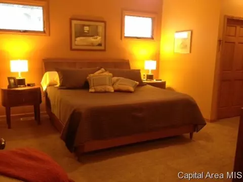 2225 Harbor Lndg, Springfield, IL 62712 photo 11