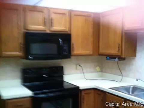 69 Lambert Ln, Springfield, IL 62704 photo 3