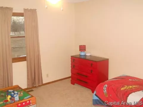 583 Bangert Rd, Bluffs, IL 62621 photo 18