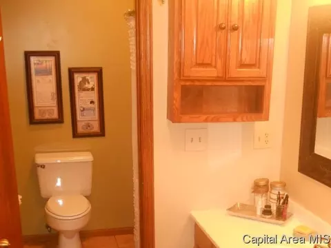 583 Bangert Rd, Bluffs, IL 62621 photo 17