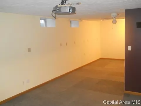 583 Bangert Rd, Bluffs, IL 62621 photo 21