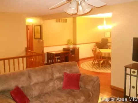 583 Bangert Rd, Bluffs, IL 62621 photo 12