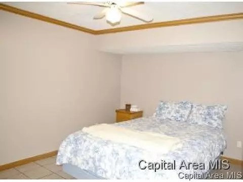 583 Bangert Rd, Bluffs, IL 62621 photo 23