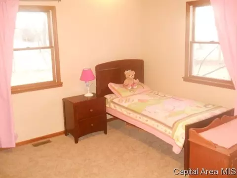 583 Bangert Rd, Bluffs, IL 62621 photo 19