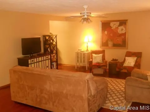 583 Bangert Rd, Bluffs, IL 62621 photo 9